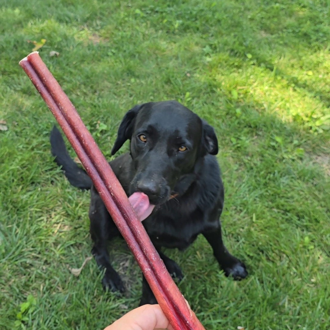Bully Sticks