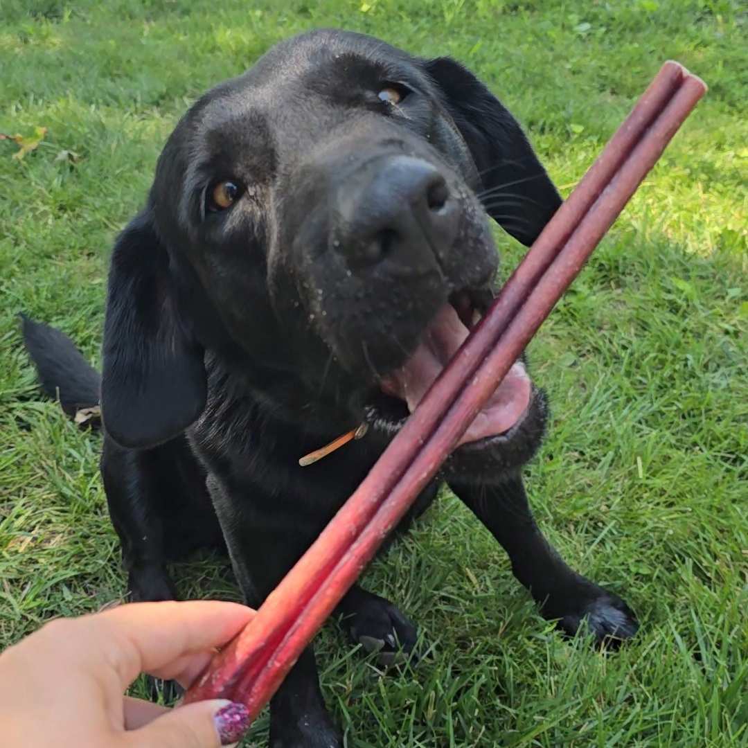 Bully Sticks