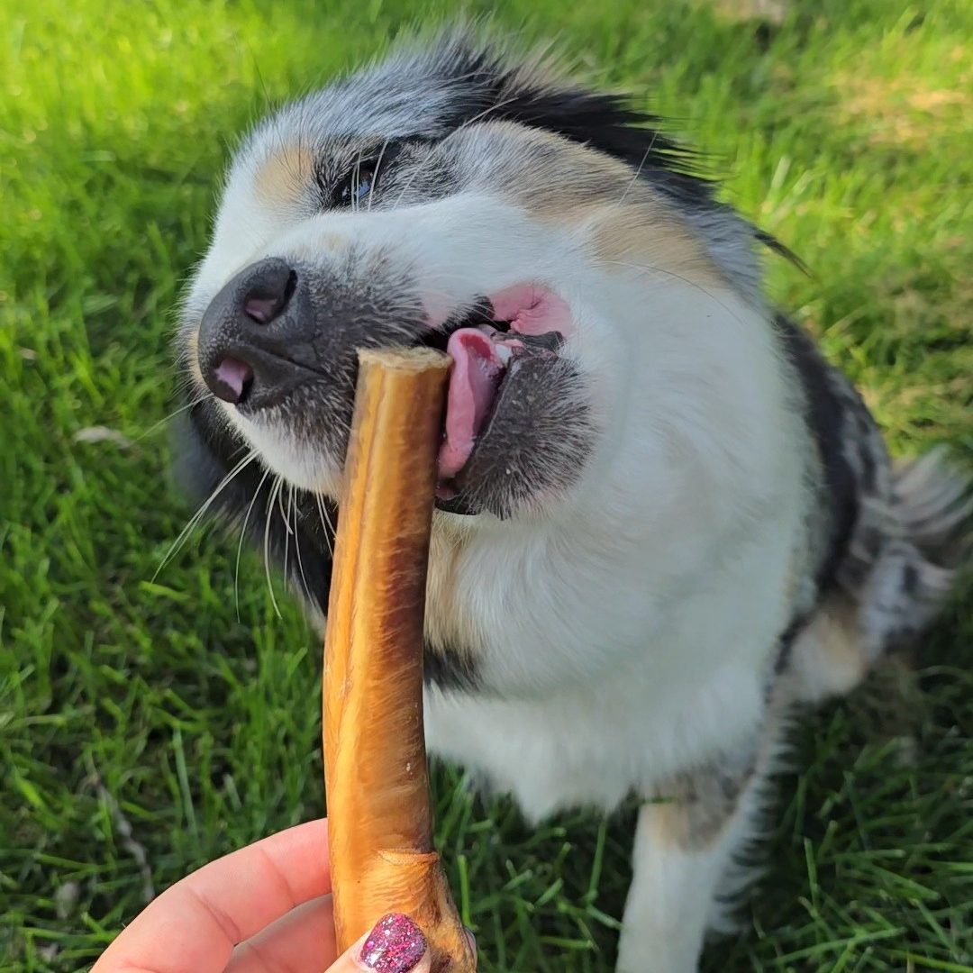 Bully Sticks