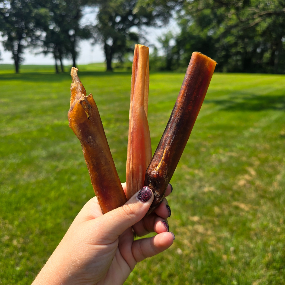 Bully Sticks