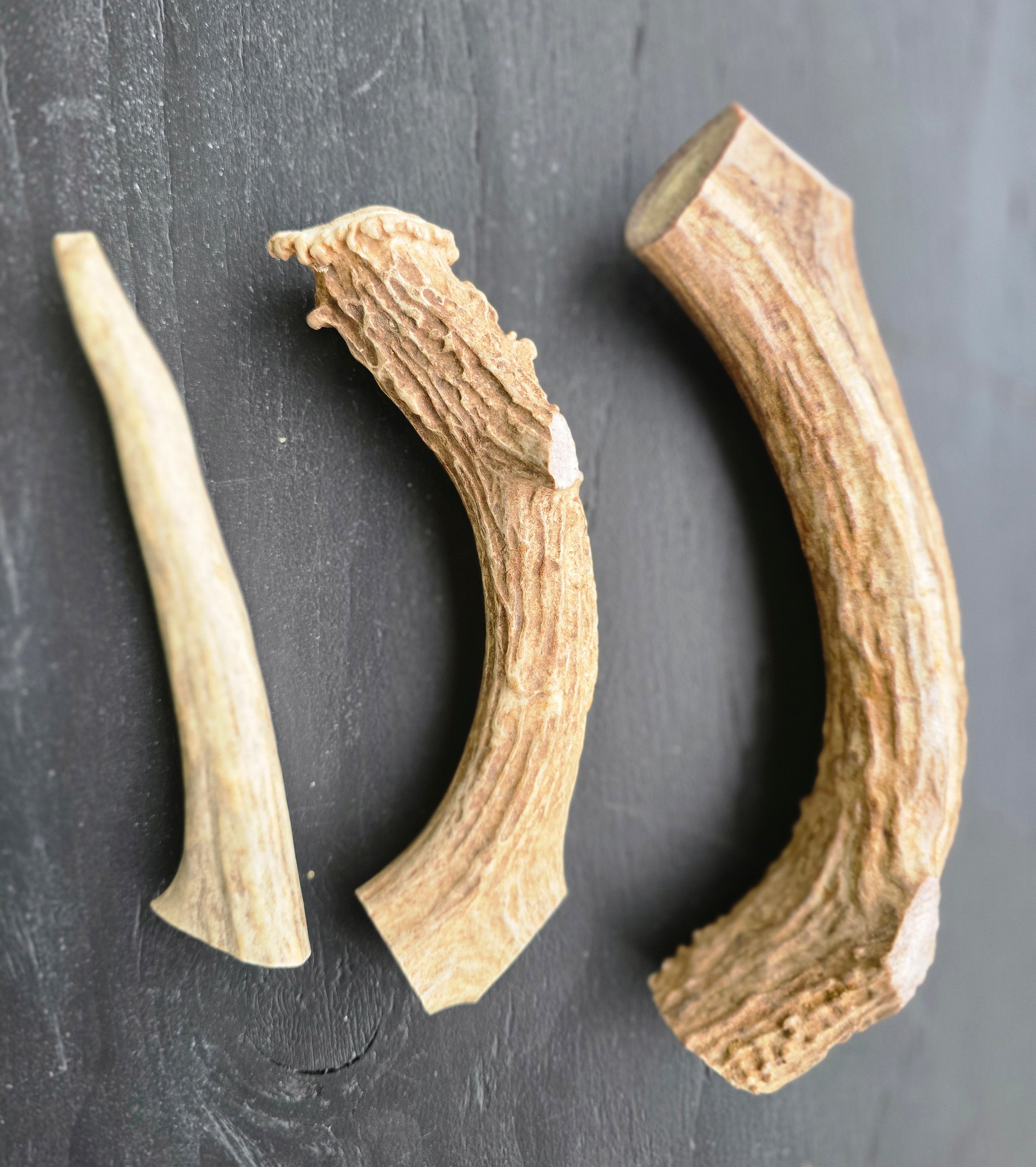 Deer Antler, All Natural