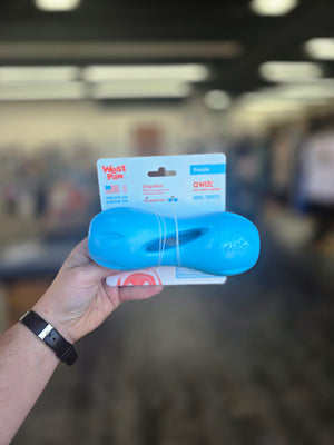 Qwizl Puzzle Toy