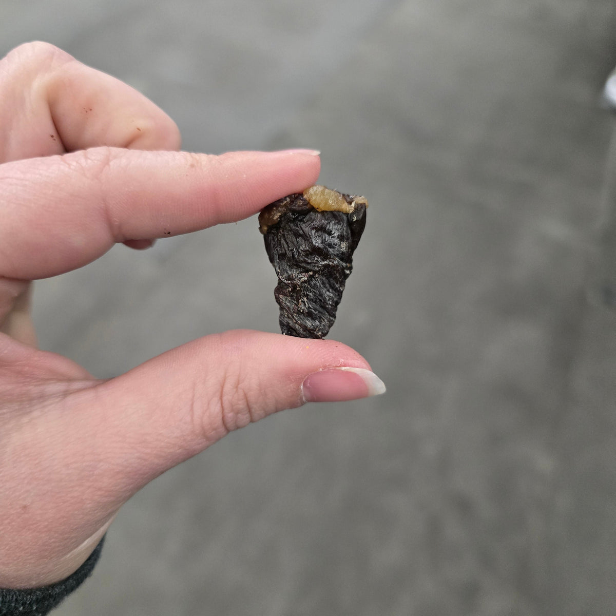 Chicken Hearts, Dehydrated