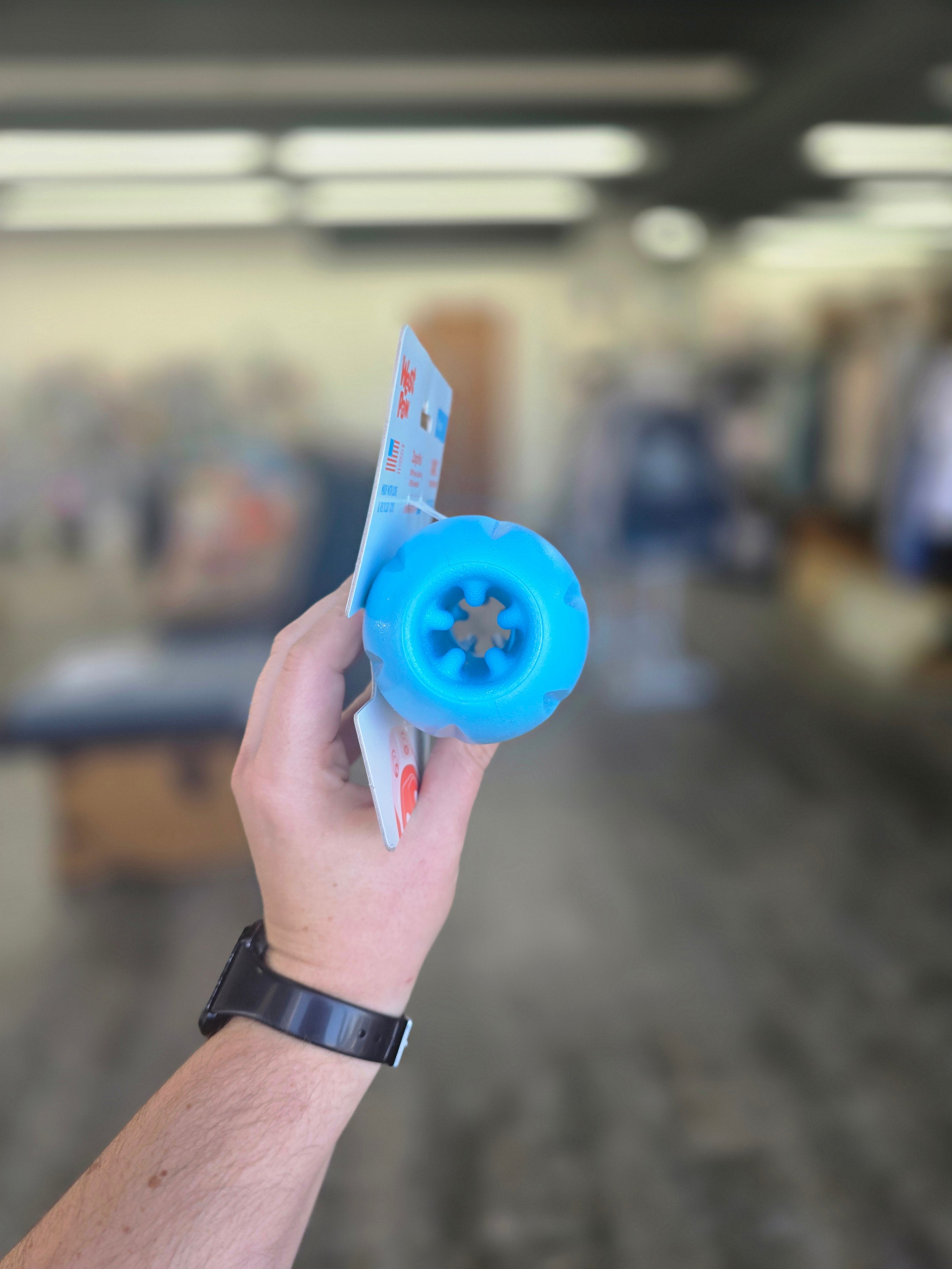 Qwizl Puzzle Toy