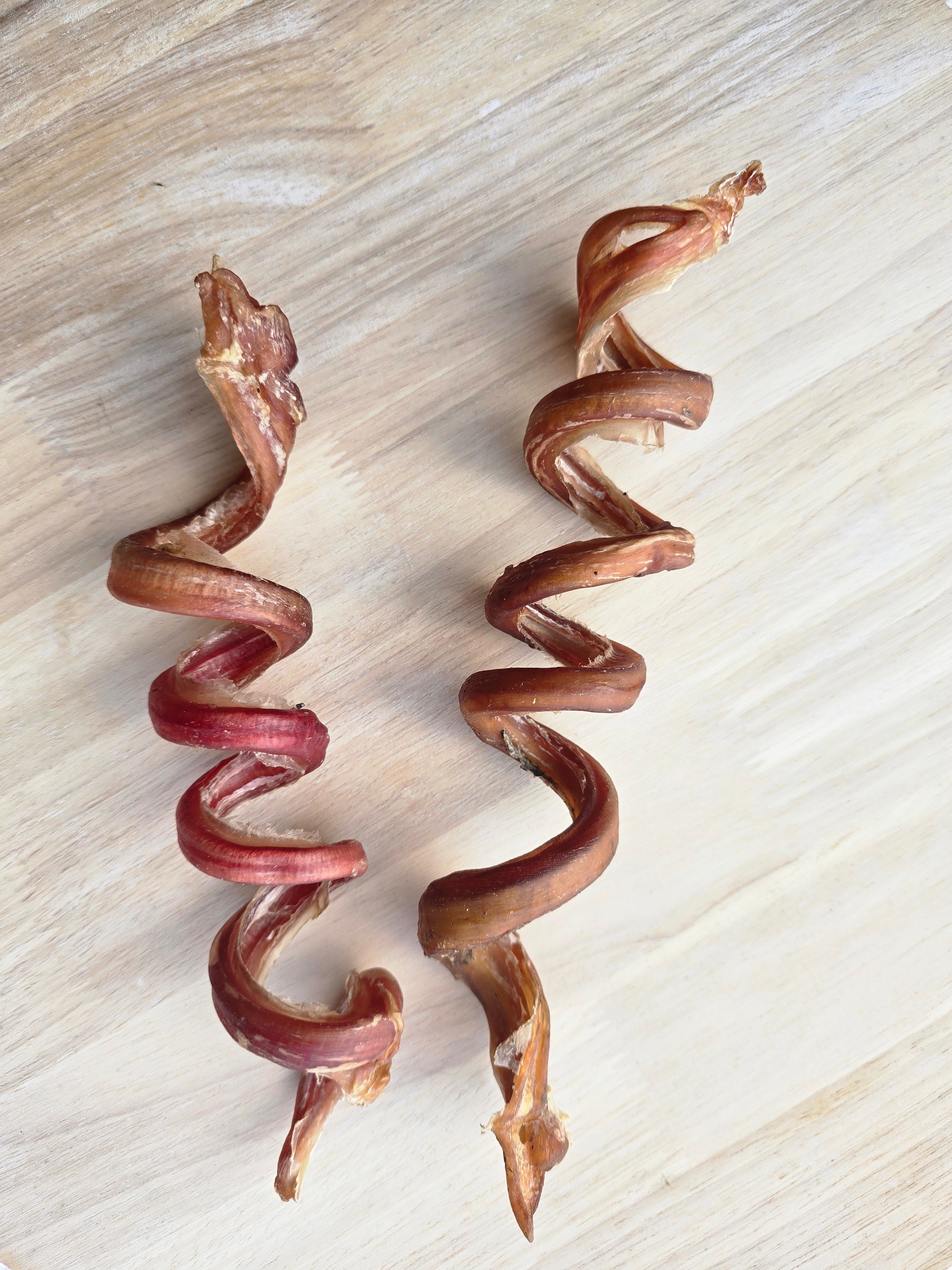 Spring Bully Sticks