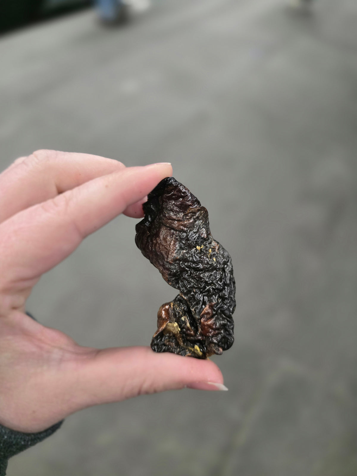 Chicken Liver Whole, Dehydrated