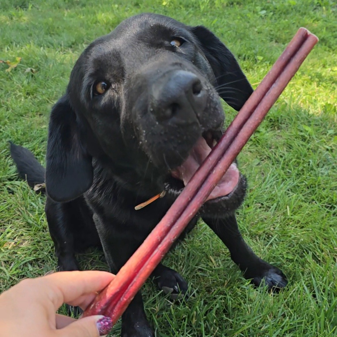 Hickory Smoked Bully Sticks