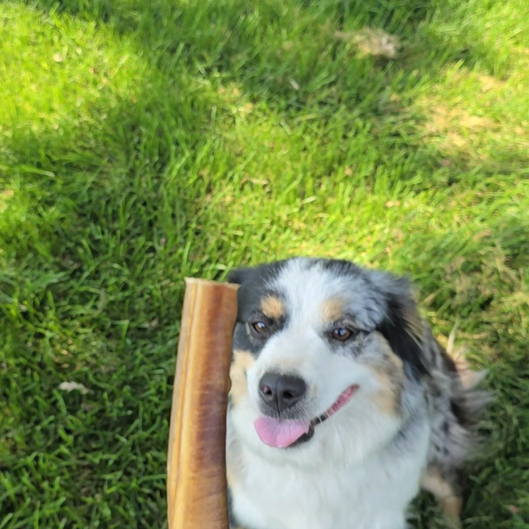 Hickory Smoked Bully Sticks