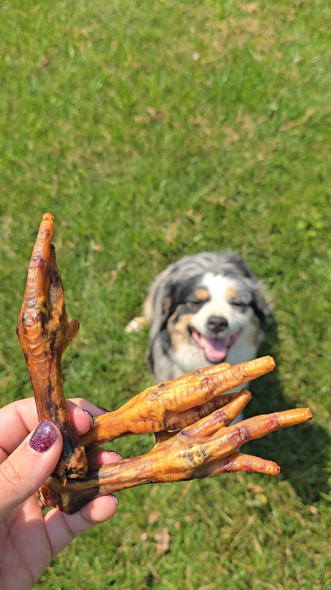 Smoked Chicken Feet