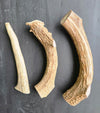 Deer Antler, All Natural