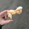 Rabbit Foot,  Dehydrated