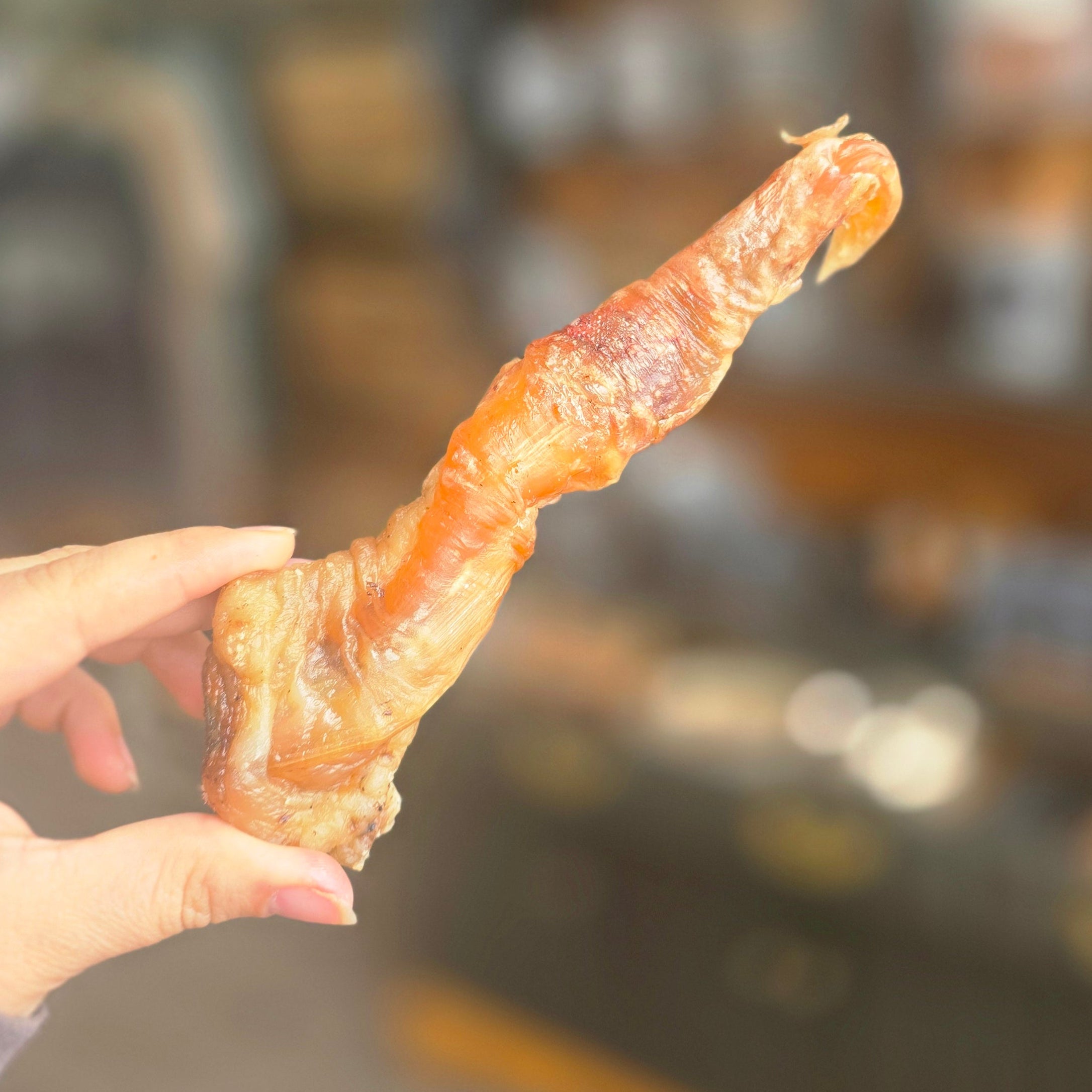 Beef Tendon