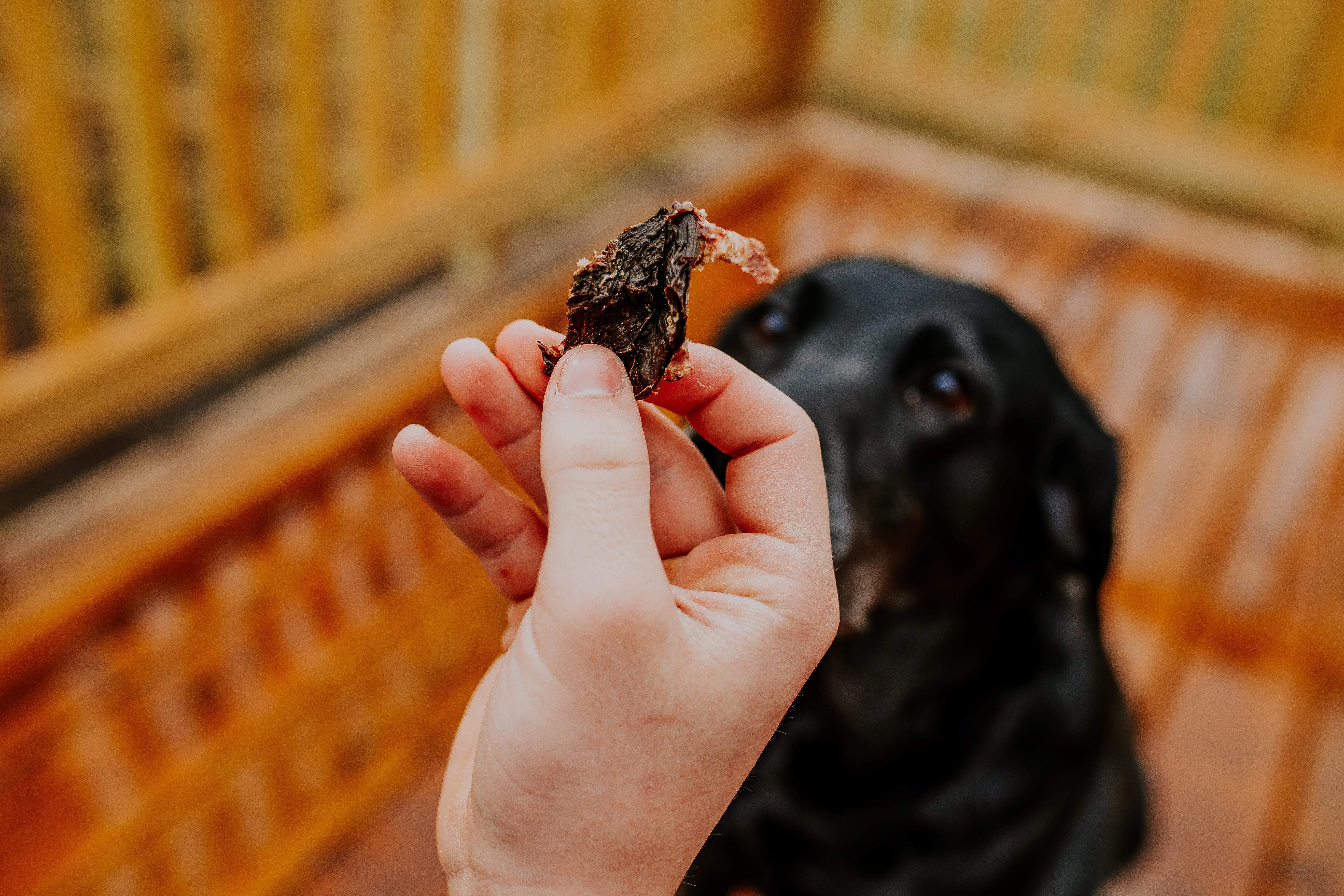 Dehydrated Beef Heart